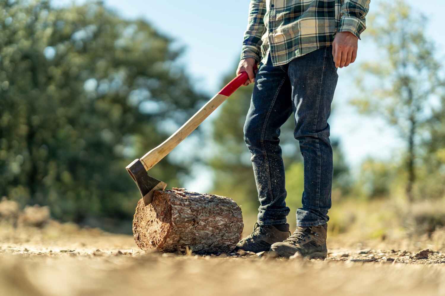 Best Tree Trimming and Pruning  in Braddock Hills, PA